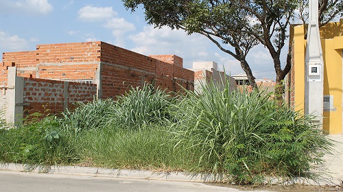 terrenos - bairro Santa Marta -site