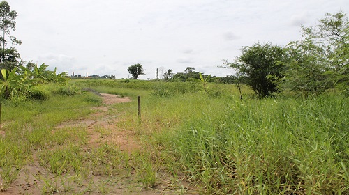 Trem-Republicano-4
