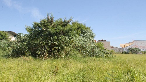 Edemilson-Alemao-propriedade-SAAE