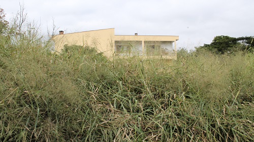 Edemilson-Cicero-Itaguacu-2