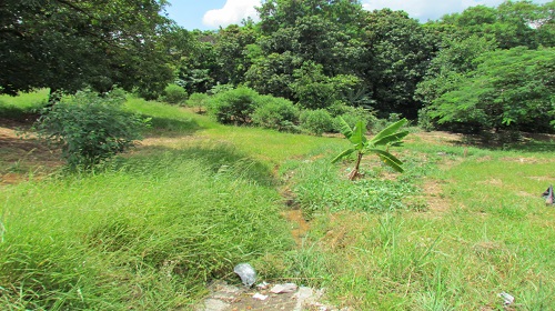 Natalino-cruzamento-Marechal-Japao-3