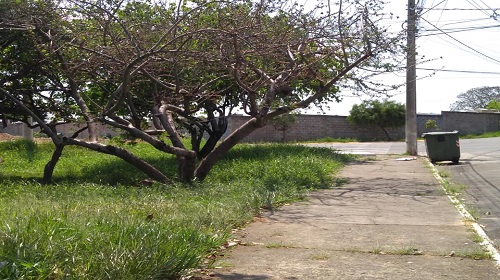 Jd-Celani-1