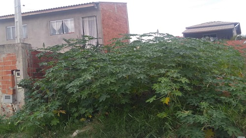 Santa Marta 2