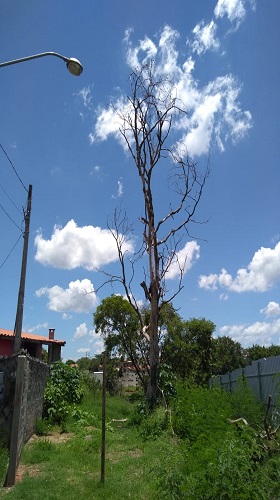 Jd Cidade