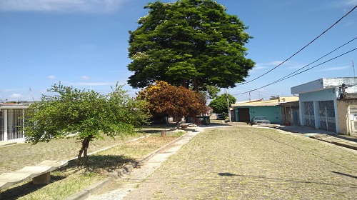 CECAP