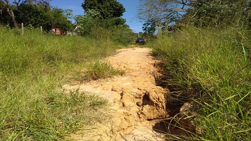 Rua das Angelicas Maracajas