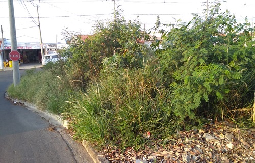 terrenos santa marta