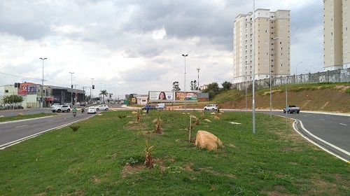 jardinagem semaforo 1