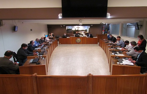 15 sessao 06 06 2020 1 site