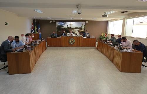 29 sessao ordinaria 1