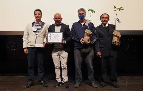 titulo empresa amiga granova prata