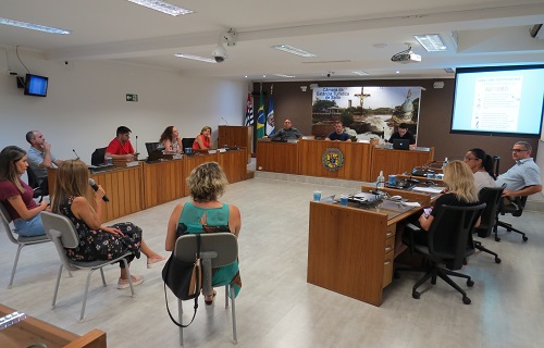 reuniao instituto zoom 2