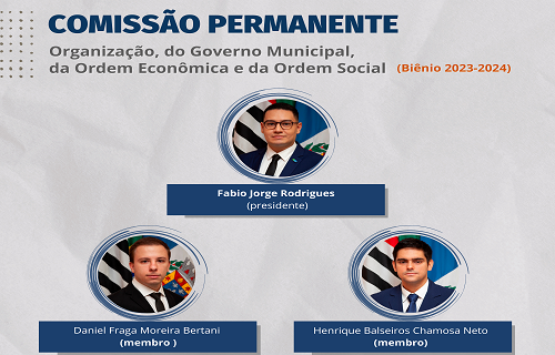 comissao organizacao
