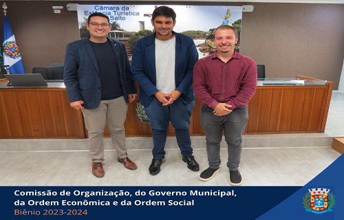 comissao organização 2