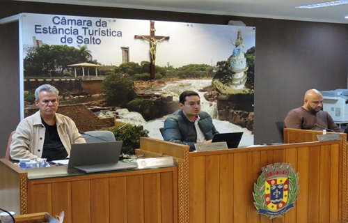 audiencia publica ldo 2