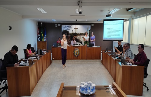 reuniao processo legislativo 2