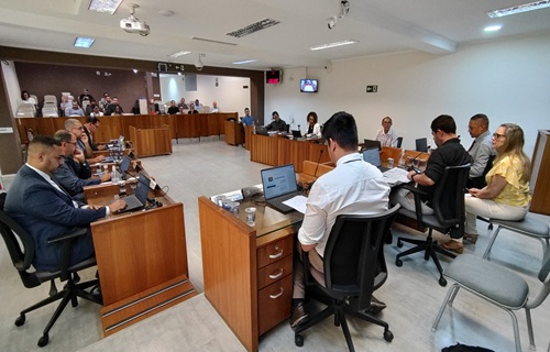 2 sessao ordinaria 11 02 2025 2