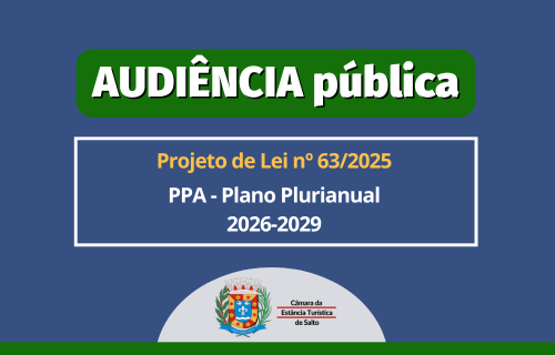 audiencia publica ppa