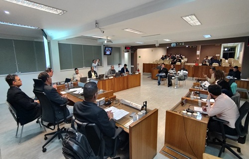 audiencia publica pl52 3