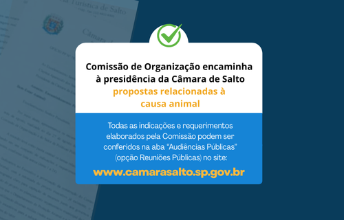 2025 site notícia 13