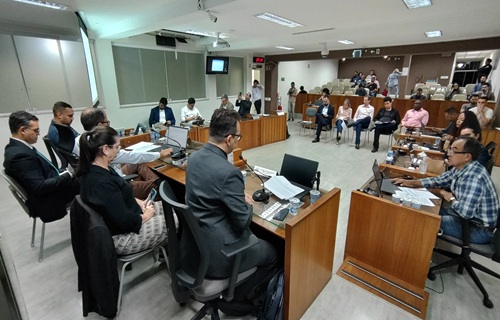 audiencia publica ldo 1