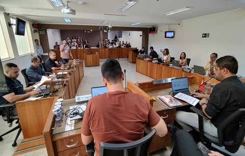 audiencia publica saude 2