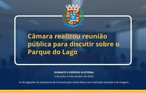 2026 PERÍODO ELEITORAL 9
