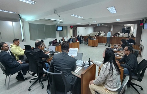 audiencia publica ldo 2