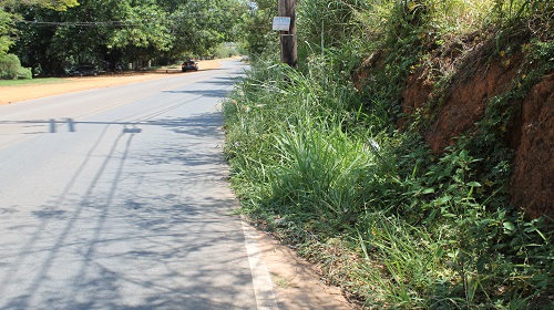 estrada-rural-mato