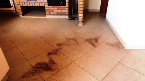 poluicao 04-09-2014 site