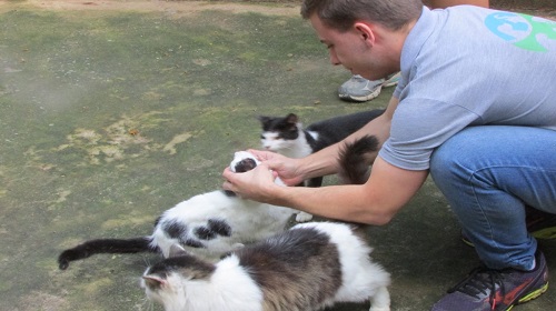 Edemilson-Canil-Municipal4