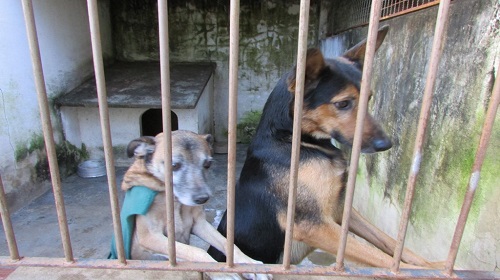 Edemilson-Canil-Municipal6