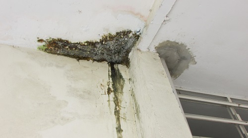 Edemilson-Delegacia-de-Polícia2