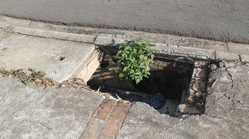 Edemilson-Madre-Paulina