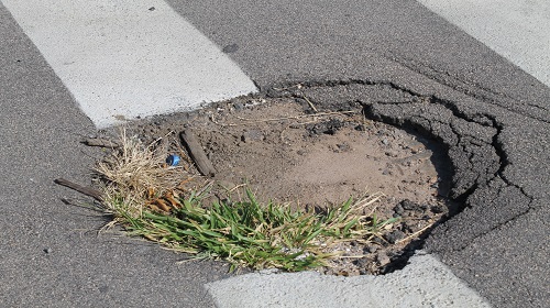 Edemilson-Jardim-Imperador2