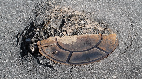 Edemilson-Jardim-Imperador3