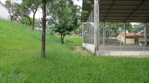 Edemilson-alambrados-escola3