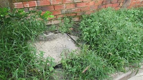 Edemilson-esgoto-Santa-Efigênia-Bandeirantes2