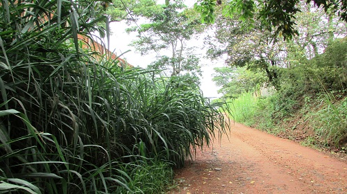 Edemilson-estrada-municipal1