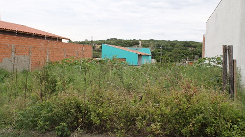 Edemilson-lotes-abandonados1