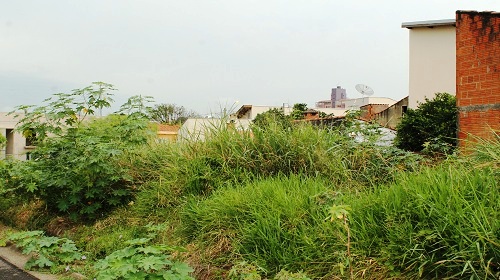 Edemilson-terrenos-abandonados2