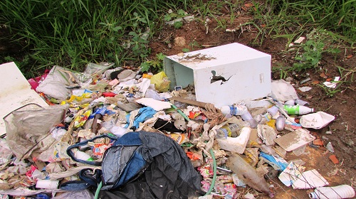 Edemilson-área-verde-Rondon 2