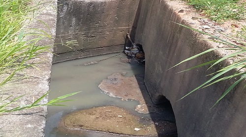 Lampião-Jardim-Marília2