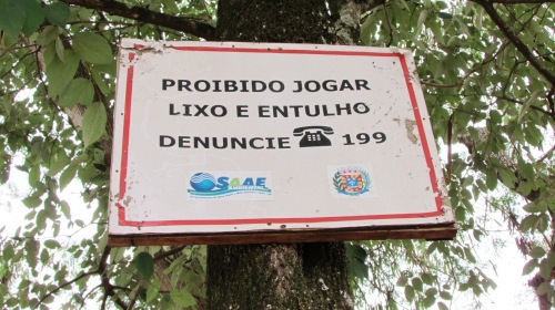 placas arvores 28-08-2014 site