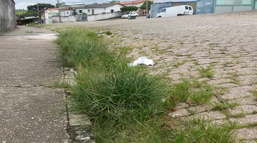 Matagal - bairro Bela Vista 2