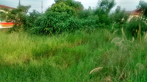 terreno-particular-na-rua-Albuquerque-Lins