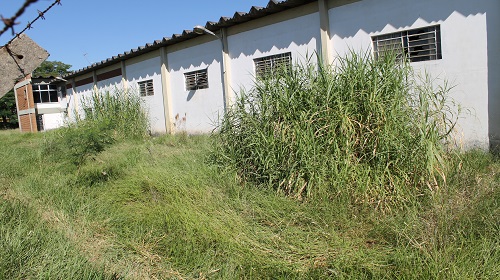 mato alto - terrenos - Rua Hilário Ferrari - site