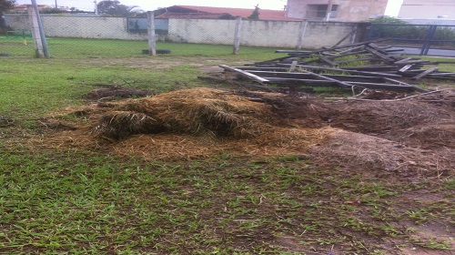 jd nova era - CEMUS VIII 3