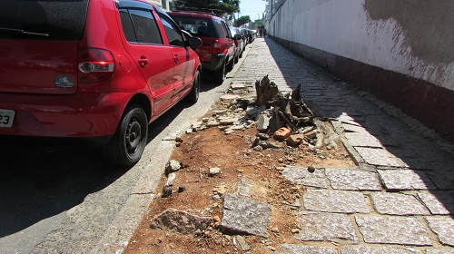 tocos de árvores - Copia