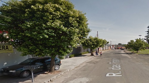 árvores-Detran-site1